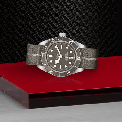 TUDOR Black Bay 58 925 M79010SG-0002