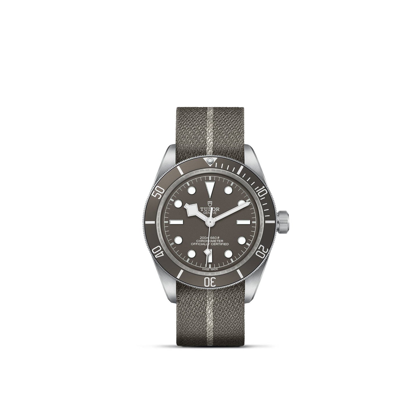 TUDOR Black Bay 58 925 M79010SG-0002