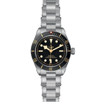 TUDOR Black Bay 58 M79030N-0001