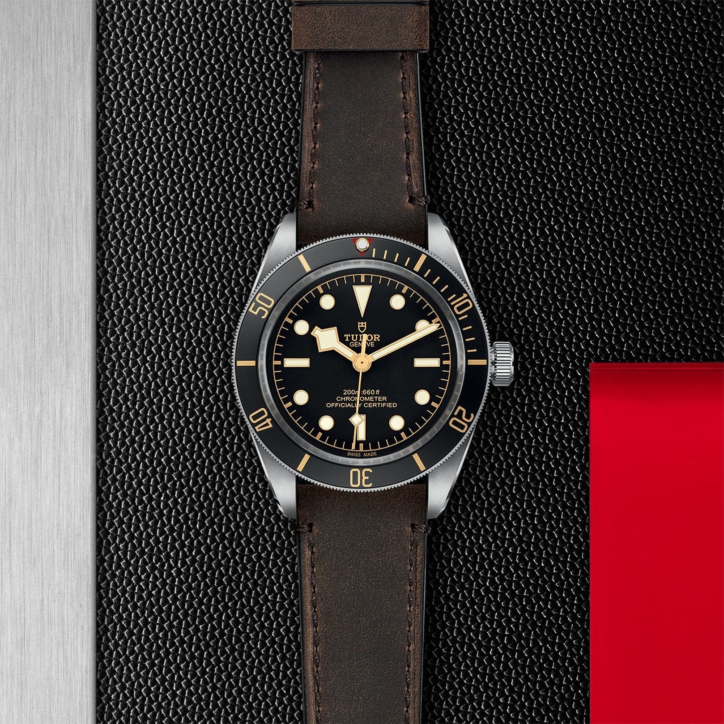 TUDOR Black Bay 58 M79030N-0002