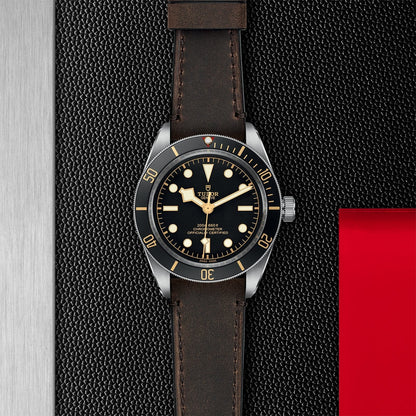 TUDOR Black Bay 58 M79030N-0002
