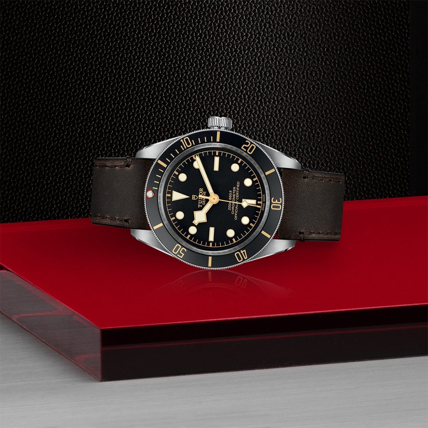 TUDOR Black Bay 58 M79030N-0002