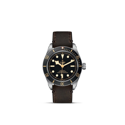 TUDOR Black Bay 58 M79030N-0002