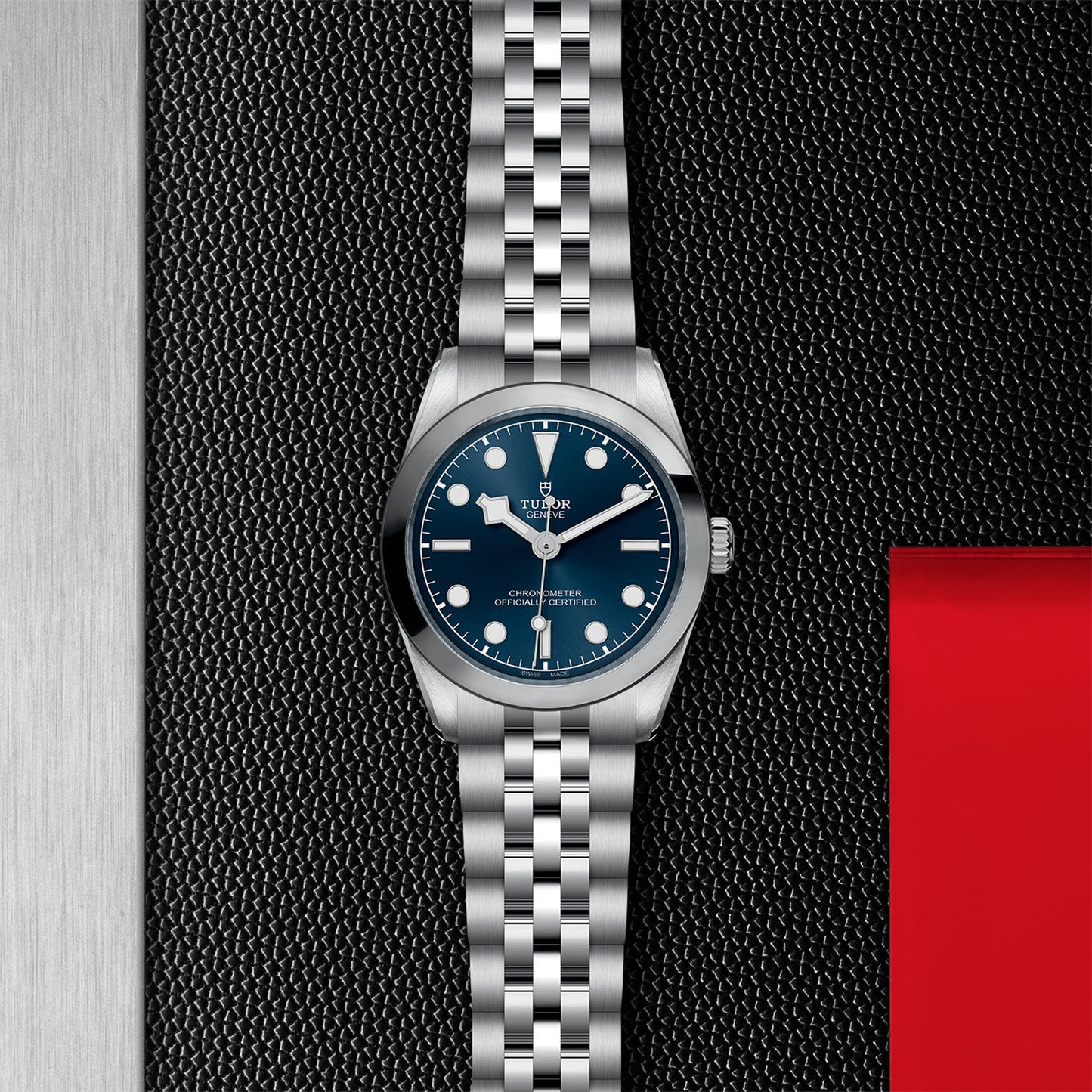 NEW: TUDOR Black Bay 31 M79600-0002