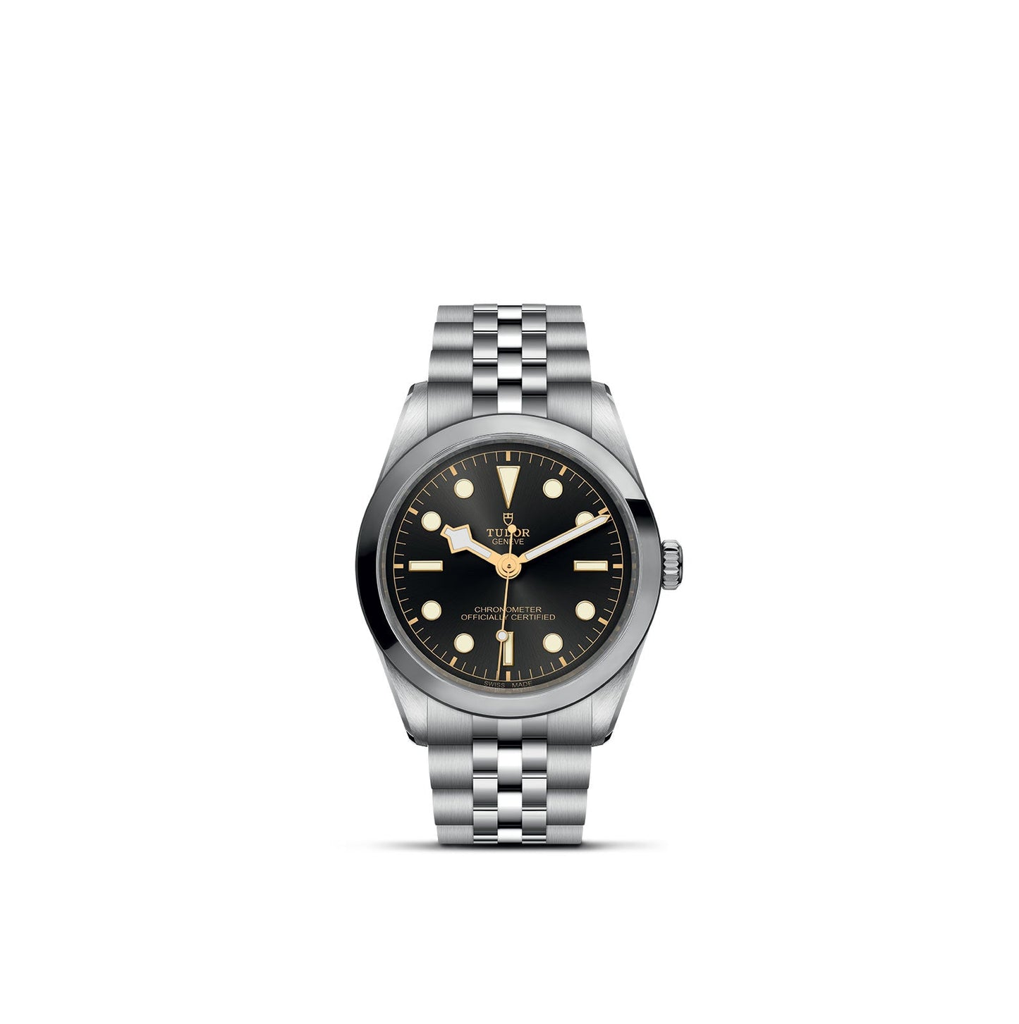 NEW: TUDOR Black Bay 36 M79640-0001
