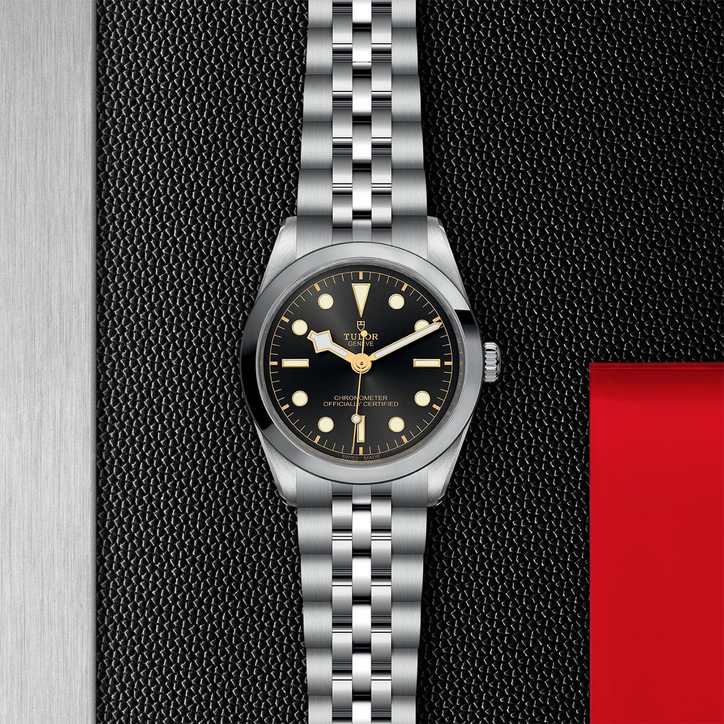 NEW: TUDOR Black Bay 36 M79640-0001