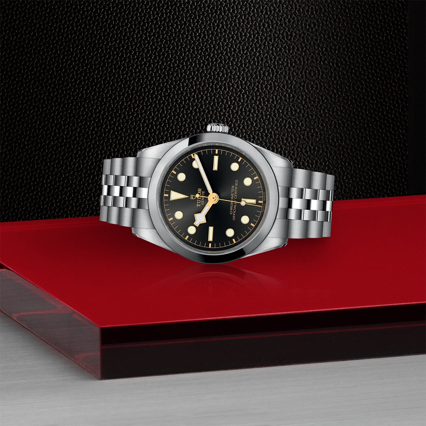 NEW: TUDOR Black Bay 36 M79640-0001