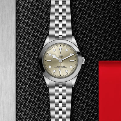 NEW: TUDOR Black Bay 39 M79660-0003