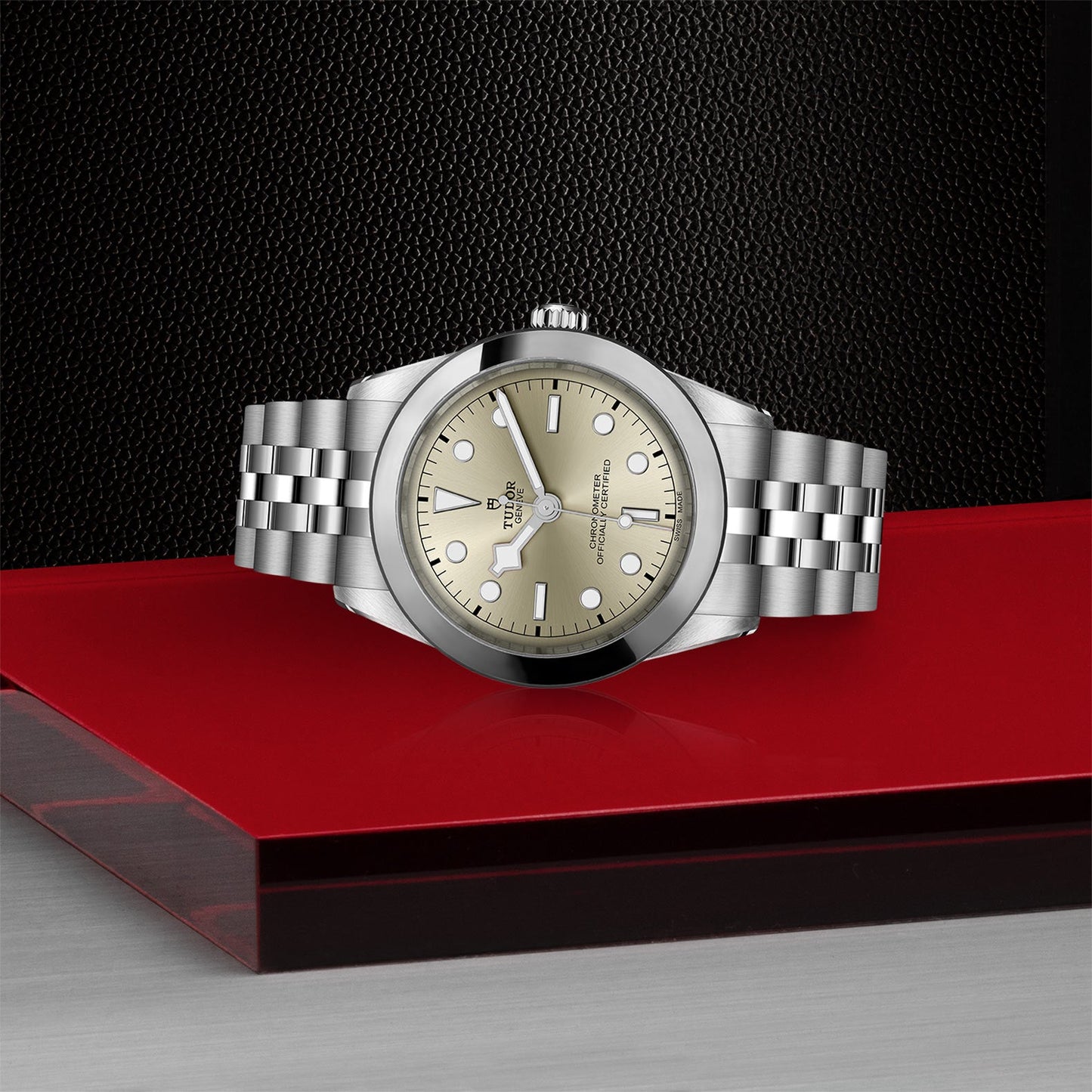 NEW: TUDOR Black Bay 39 M79660-0003