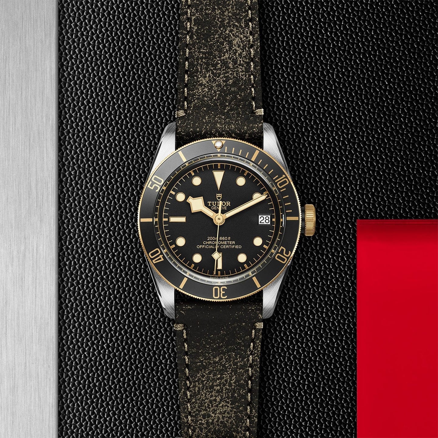 TUDOR Black Bay 41 S&G M79733N-0007