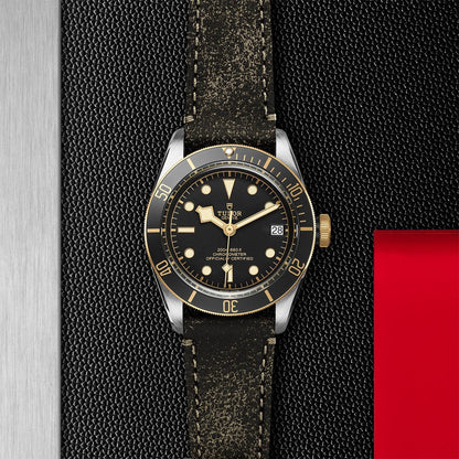 TUDOR Black Bay 41 S&G M79733N-0007