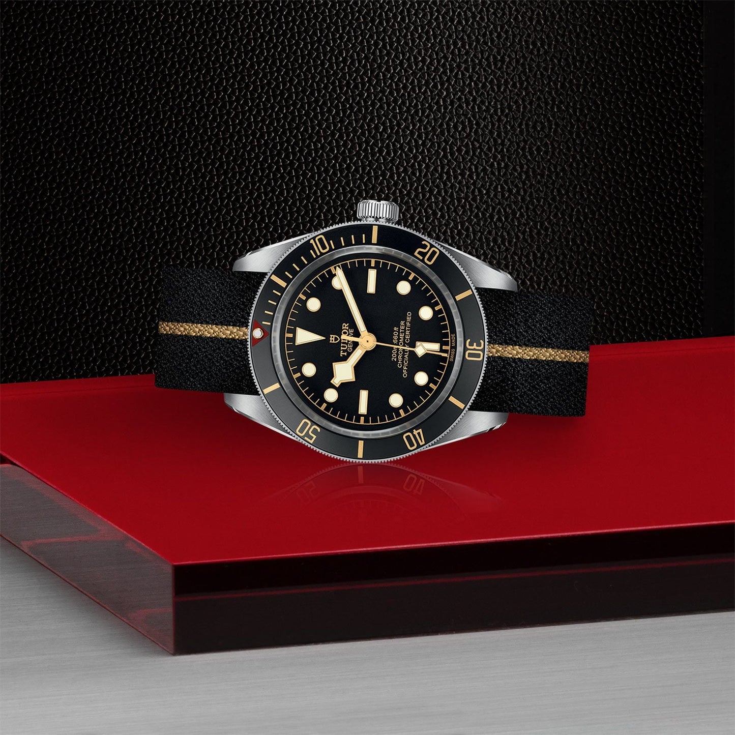 TUDOR Black Bay 58 M79030N-0003