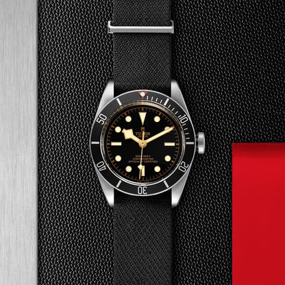 TUDOR Black Bay 41 M79230N-0005