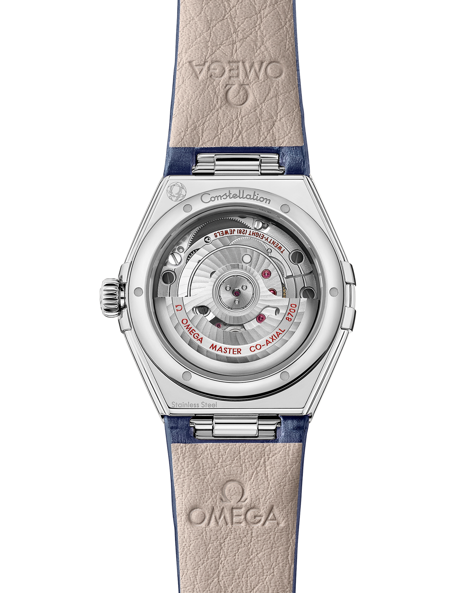 Constellation 29 mm, steel on alligator
