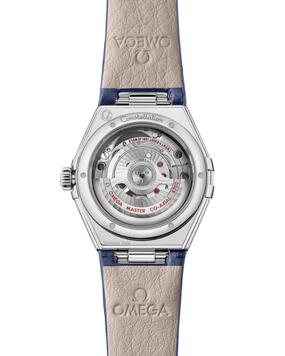Constellation 29 mm, steel on alligator
