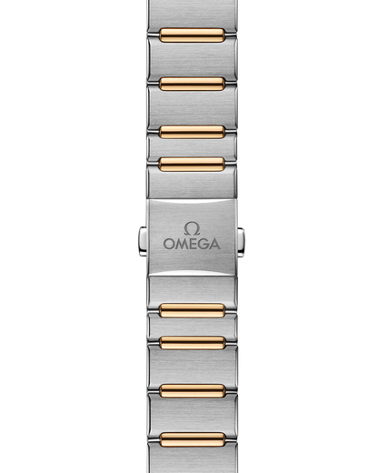 Constellation 29 mm, steel ‑ yellow gold on steel ‑ yellow gold