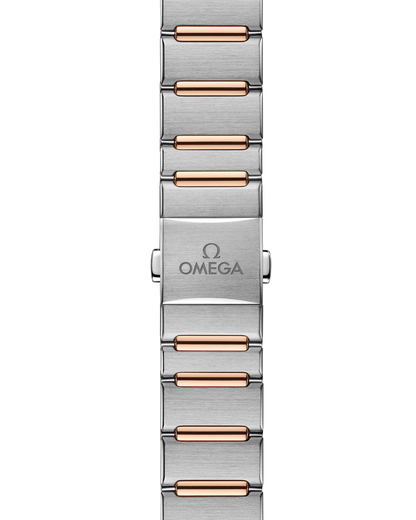 Constellation 29 mm, steel ‑ Sedna™ gold on steel ‑ Sedna™ gold
