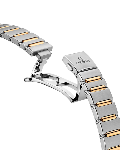 Constellation 29 mm, steel ‑ yellow gold on steel ‑ yellow gold