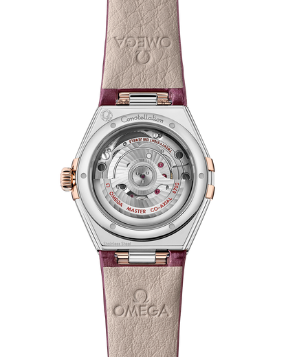 Constellation 29 mm, steel ‑ Sedna™ gold on alligator