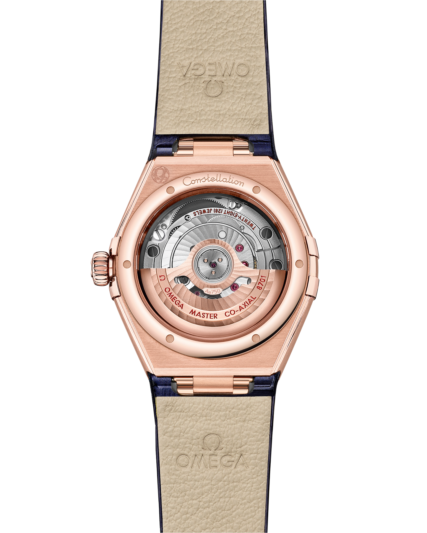 Constellation 29 mm, Sedna™ gold on leather strap
