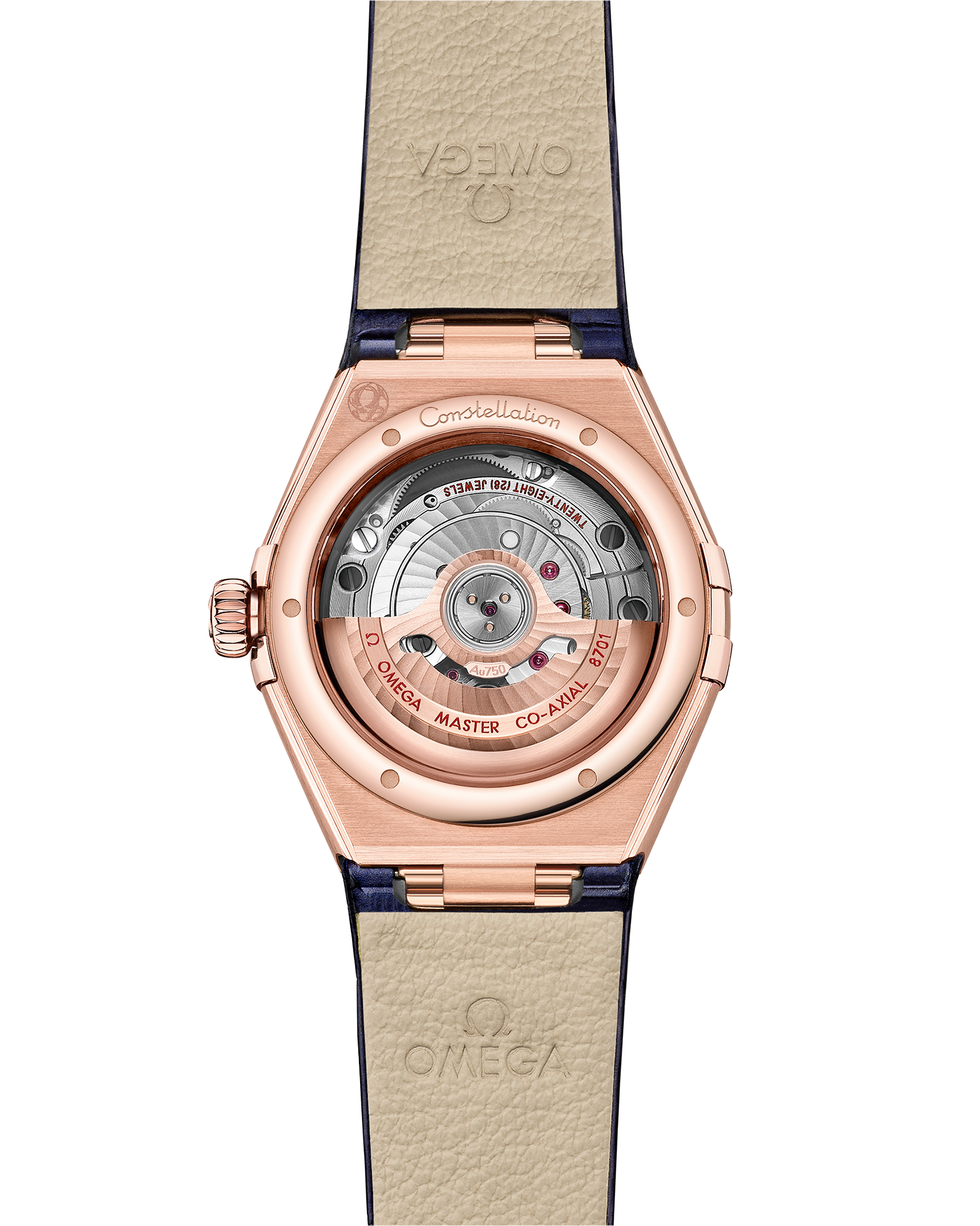 Constellation 29 mm, Sedna™ gold on leather strap