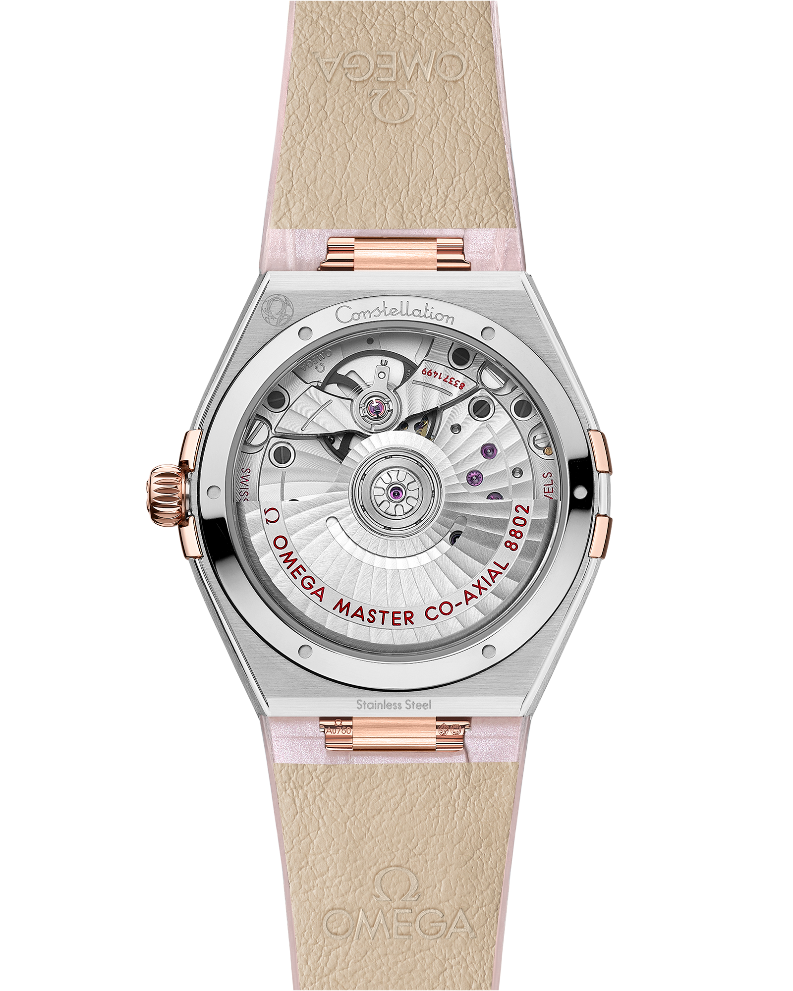 Constellation 34 mm, steel ‑ Sedna™ gold on leather strap