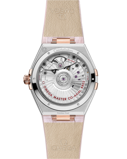Constellation 34 mm, steel ‑ Sedna™ gold on leather strap