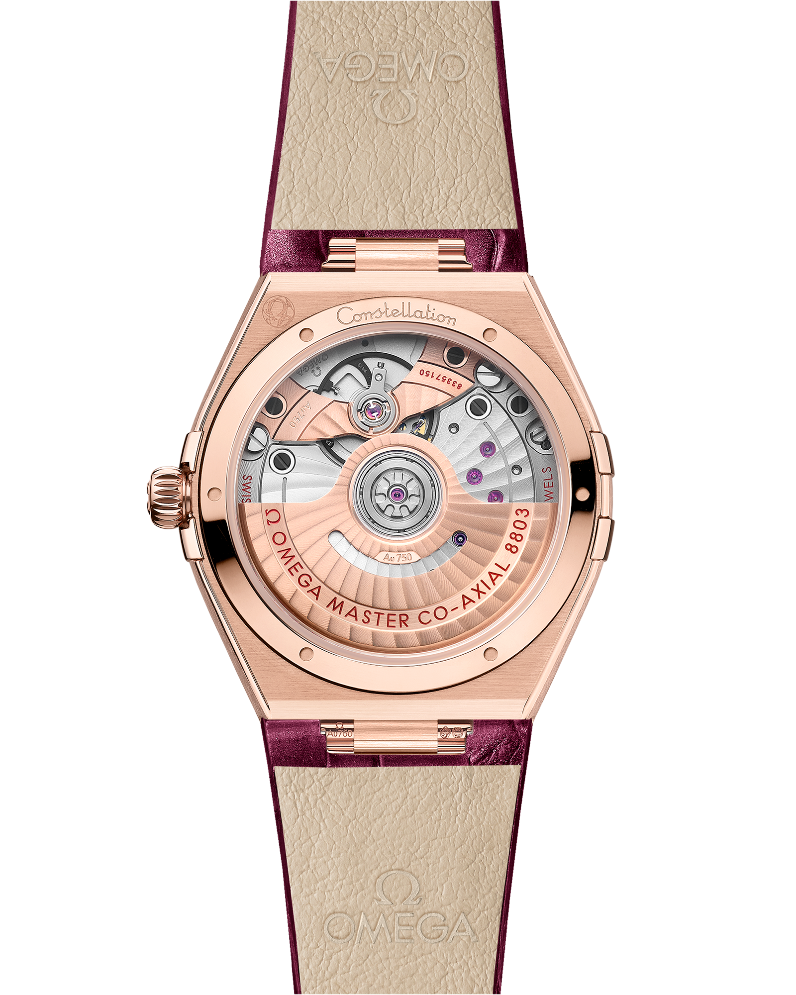 Constellation 34 mm, Sedna™ gold on leather strap