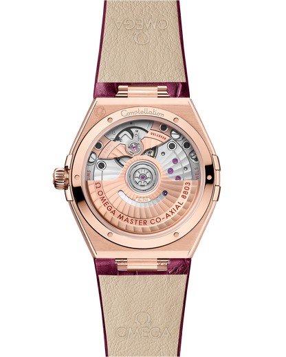 Constellation 34 mm, Sedna™ gold on leather strap