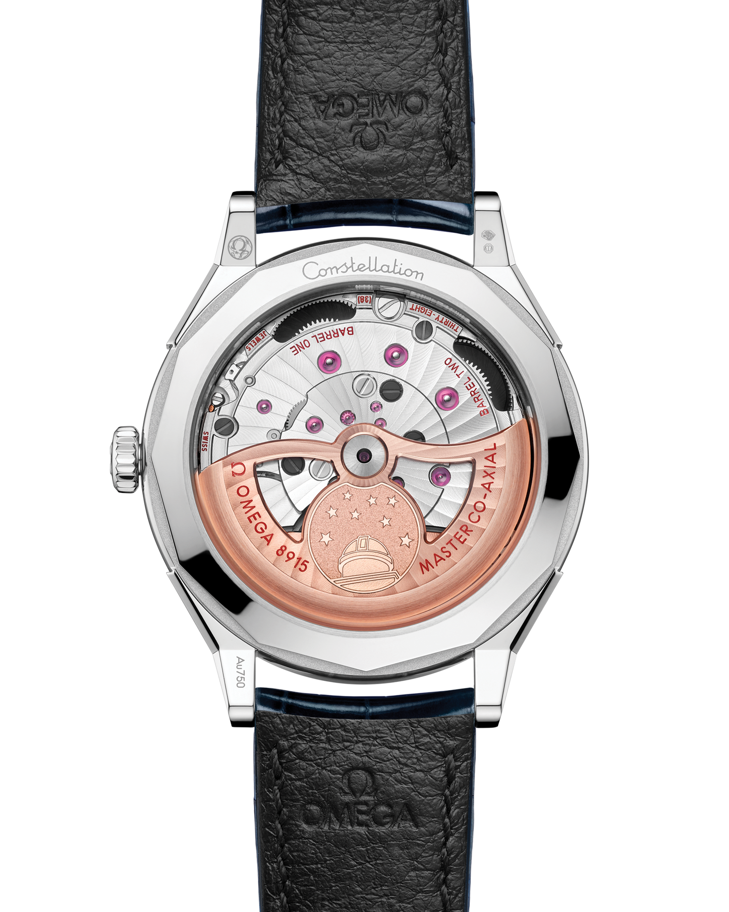Constellation Observatory 39.4 mm, Canopus Gold™ on alligator