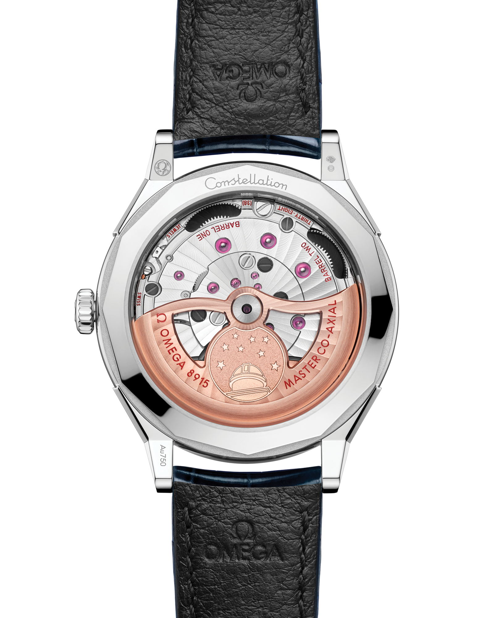 Constellation Observatory 39.4 mm, Canopus Gold™ on alligator