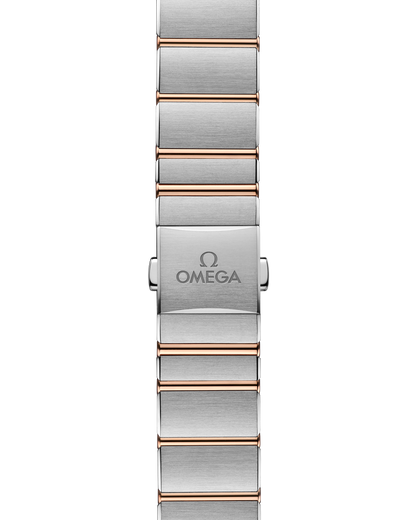 Constellation 28 mm, steel ‑ Sedna™ gold on steel ‑ Sedna™ gold