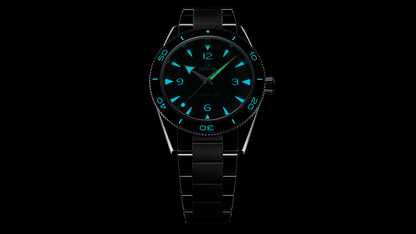 Seamaster 300 41 mm, steel on steel