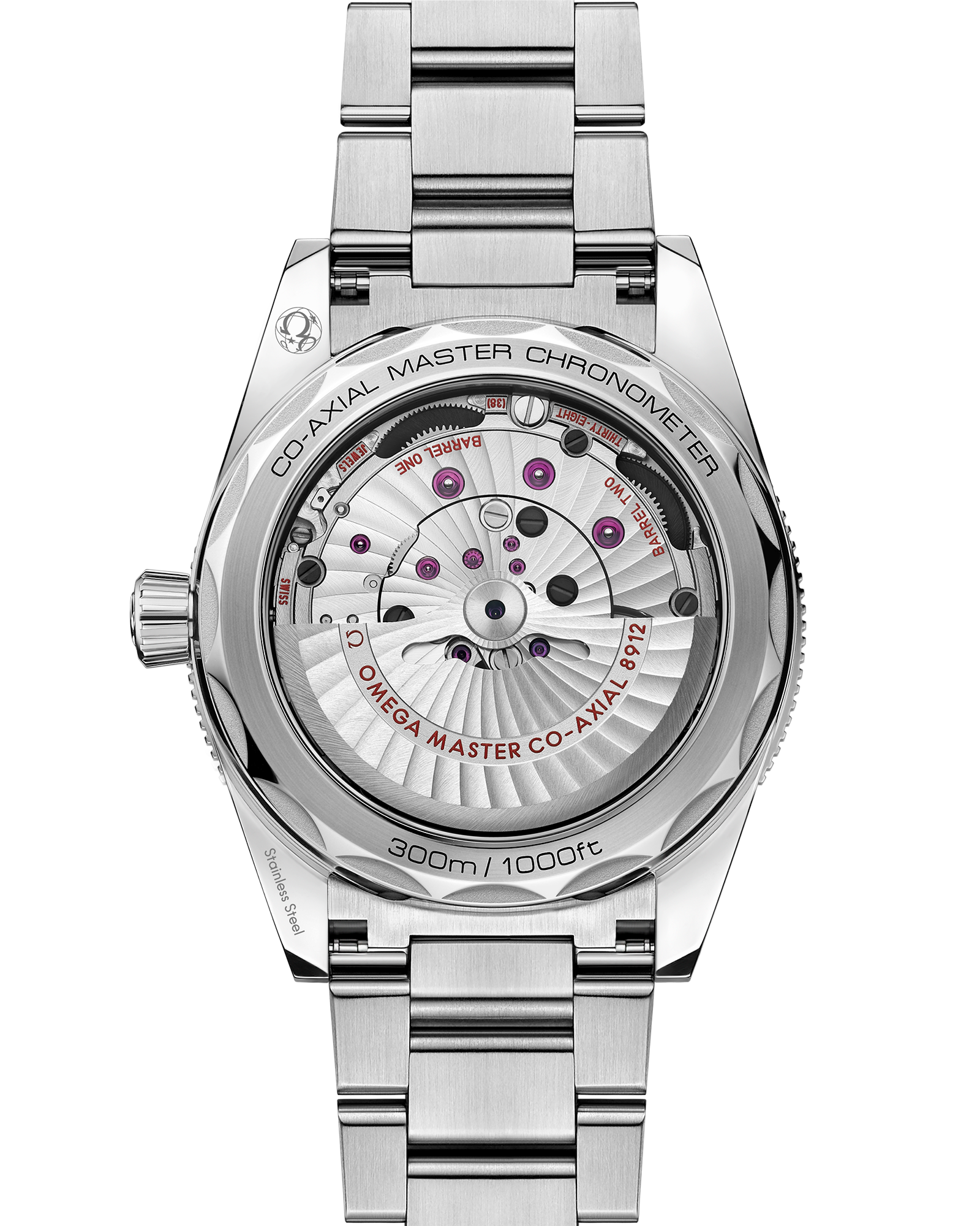 Seamaster 300 41 mm, steel on steel