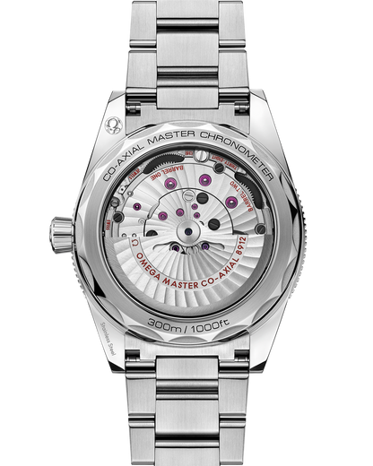 Seamaster 300 41 mm, steel on steel