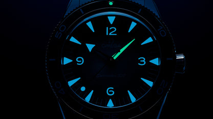 Seamaster 300 41 mm, steel on steel