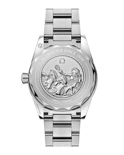 Seamaster 300 41 mm, steel on steel