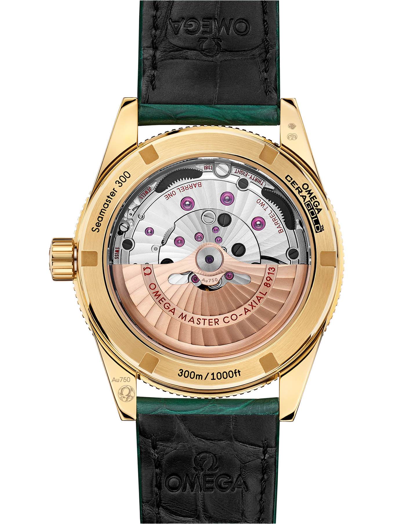 Seamaster 300 41 mm, yellow gold on leather strap