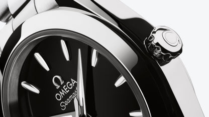 Seamaster Aqua Terra 150M 30 mm, steel on steel