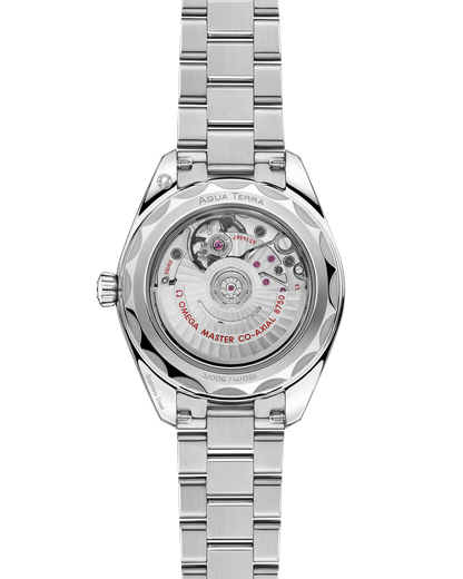 Seamaster Aqua Terra 150M 30 mm, steel on steel