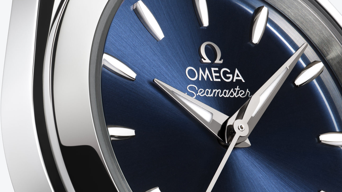 Seamaster Aqua Terra 150M 30 mm, steel on steel