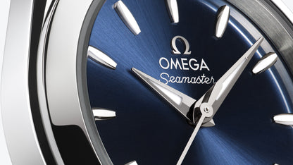 Seamaster Aqua Terra 150M 30 mm, steel on steel