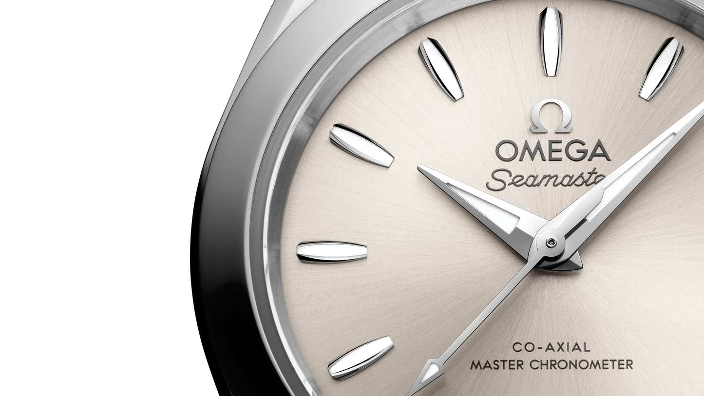 Seamaster Aqua Terra 150M 30 mm, steel on steel