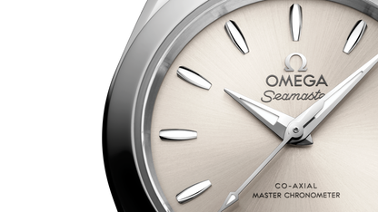 Seamaster Aqua Terra 150M 30 mm, steel on steel