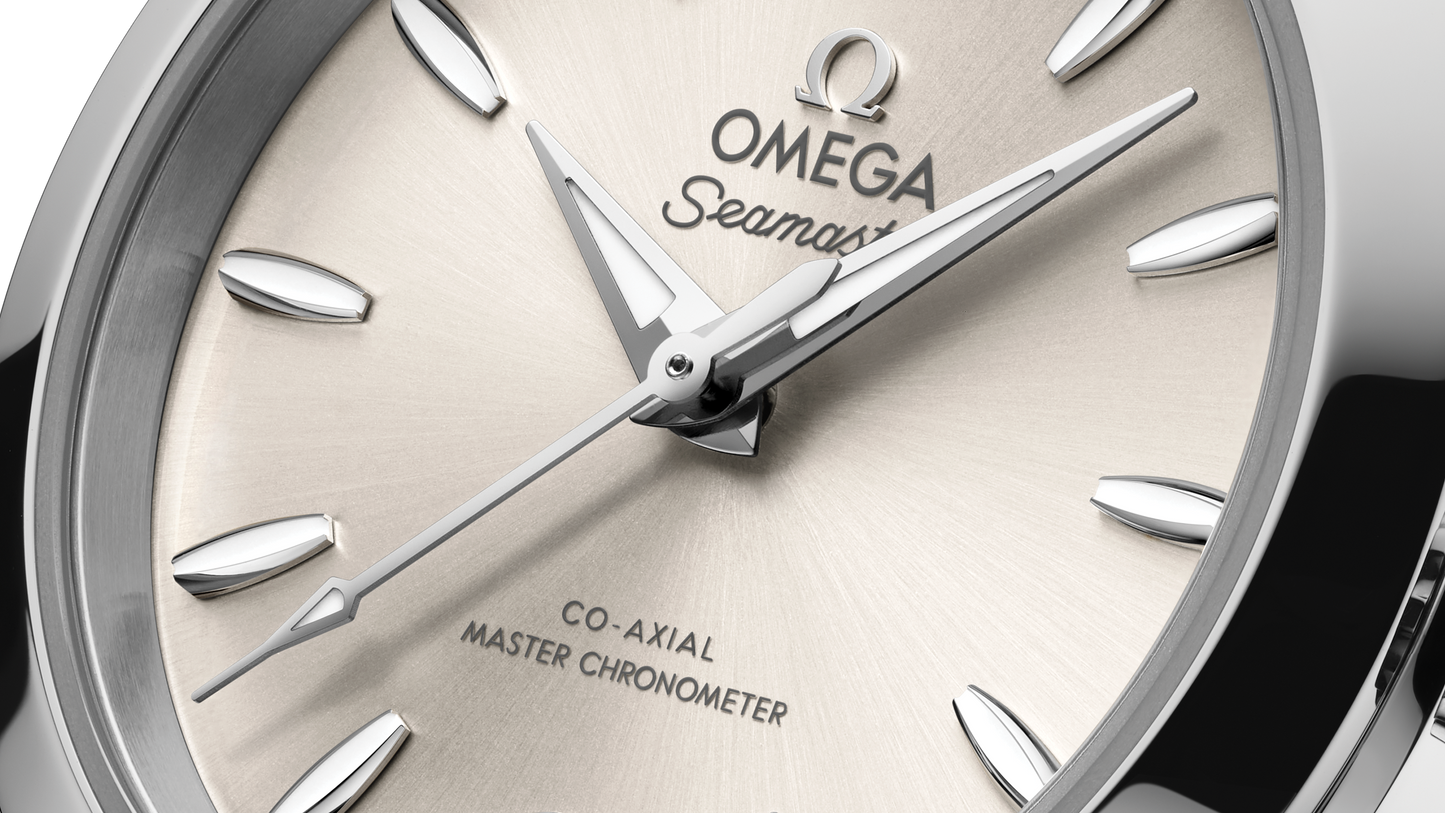 Seamaster Aqua Terra 150M 30 mm, steel on steel