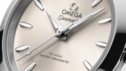 Seamaster Aqua Terra 150M 30 mm, steel on steel