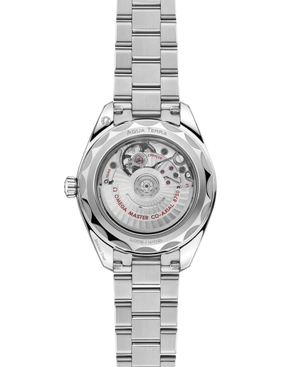 Seamaster Aqua Terra 150M 30 mm, steel on steel
