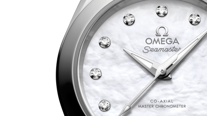 Seamaster Aqua Terra 150M 30 mm, steel on steel