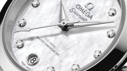 Seamaster Aqua Terra 150M 30 mm, steel on steel