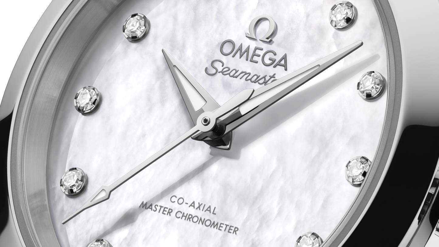 Seamaster Aqua Terra 150M 30 mm, steel on steel